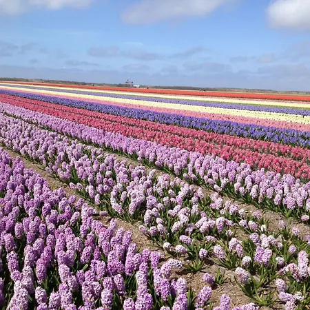 Stuivezandeweg 6- Naehe By Interhome 卡兰茨奥赫