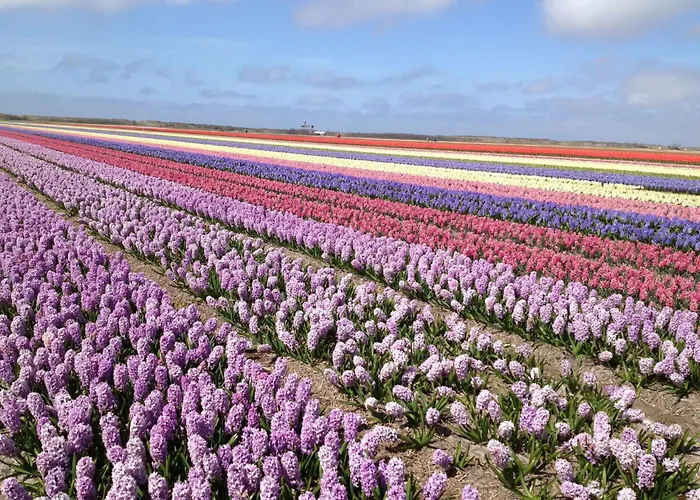 Stuivezandeweg 6- Naehe By Interhome Callantsoog