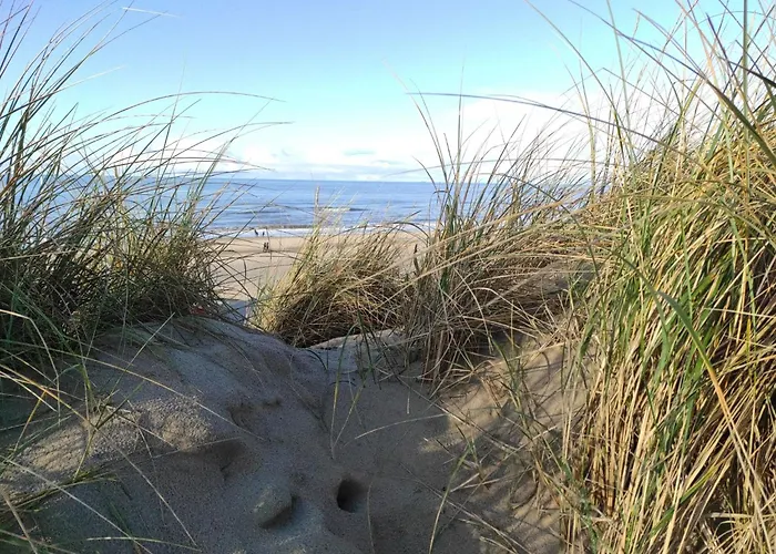 Stuivezandeweg 6- Naehe By Interhome Hébergement de vacances *